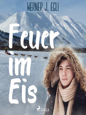 cover image of Feuer im Eis